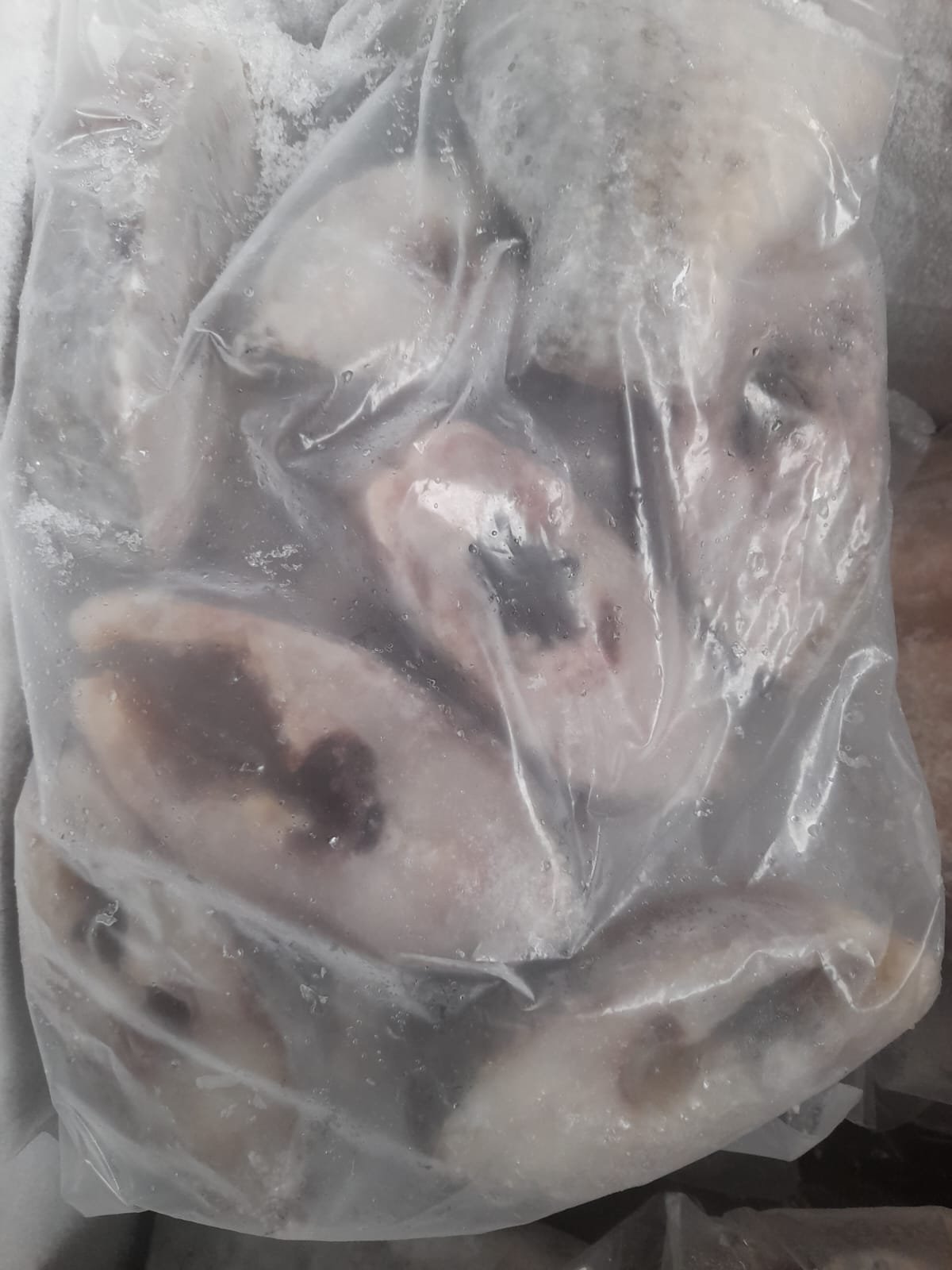 Postas de Tilápia