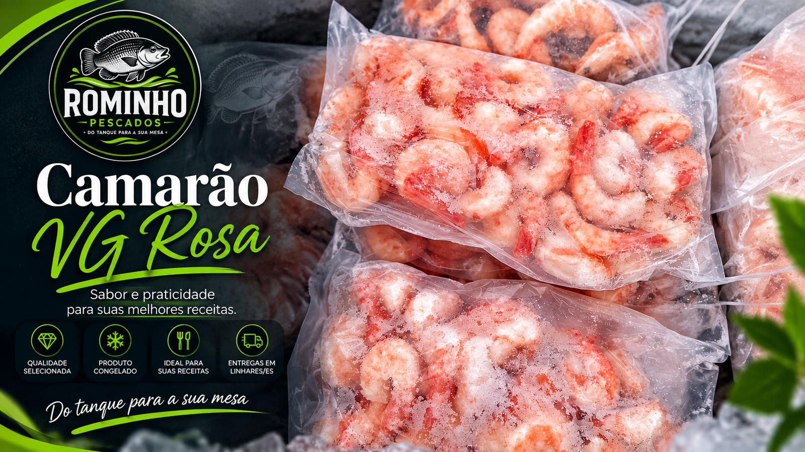 Camarão VG ROSA